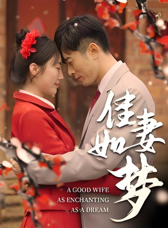 佳妻如梦