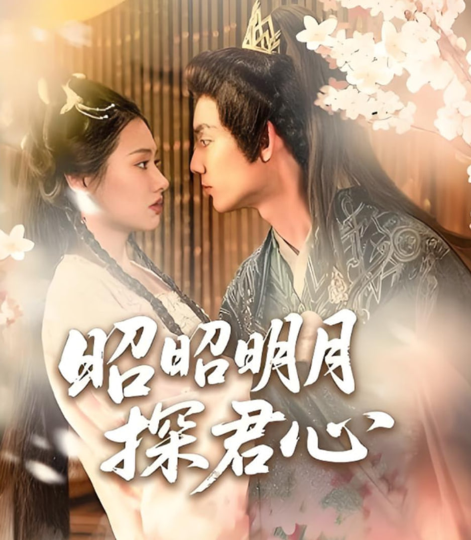 昭昭明月探君心