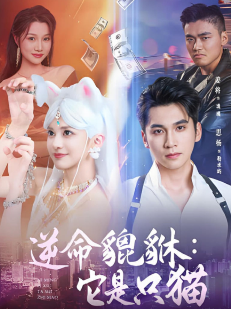 逆命貔貅它是只猫