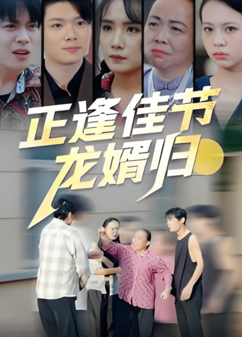 正逢佳节龙婿归