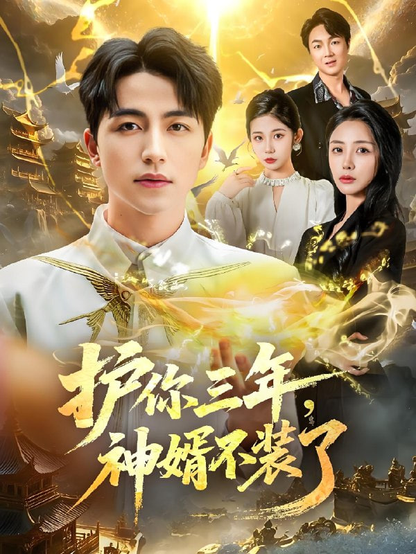 护你三年，神婿不装了