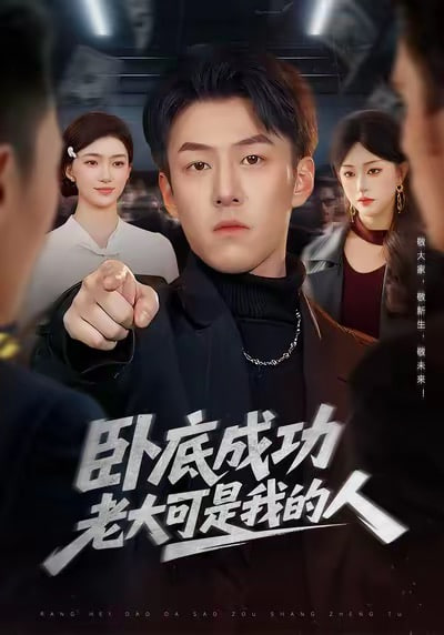 卧底成功老大可是我的人