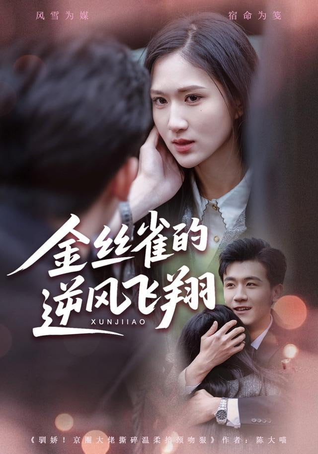 金丝雀的逆风飞翔