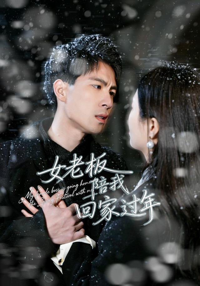 女老板陪我回家过年