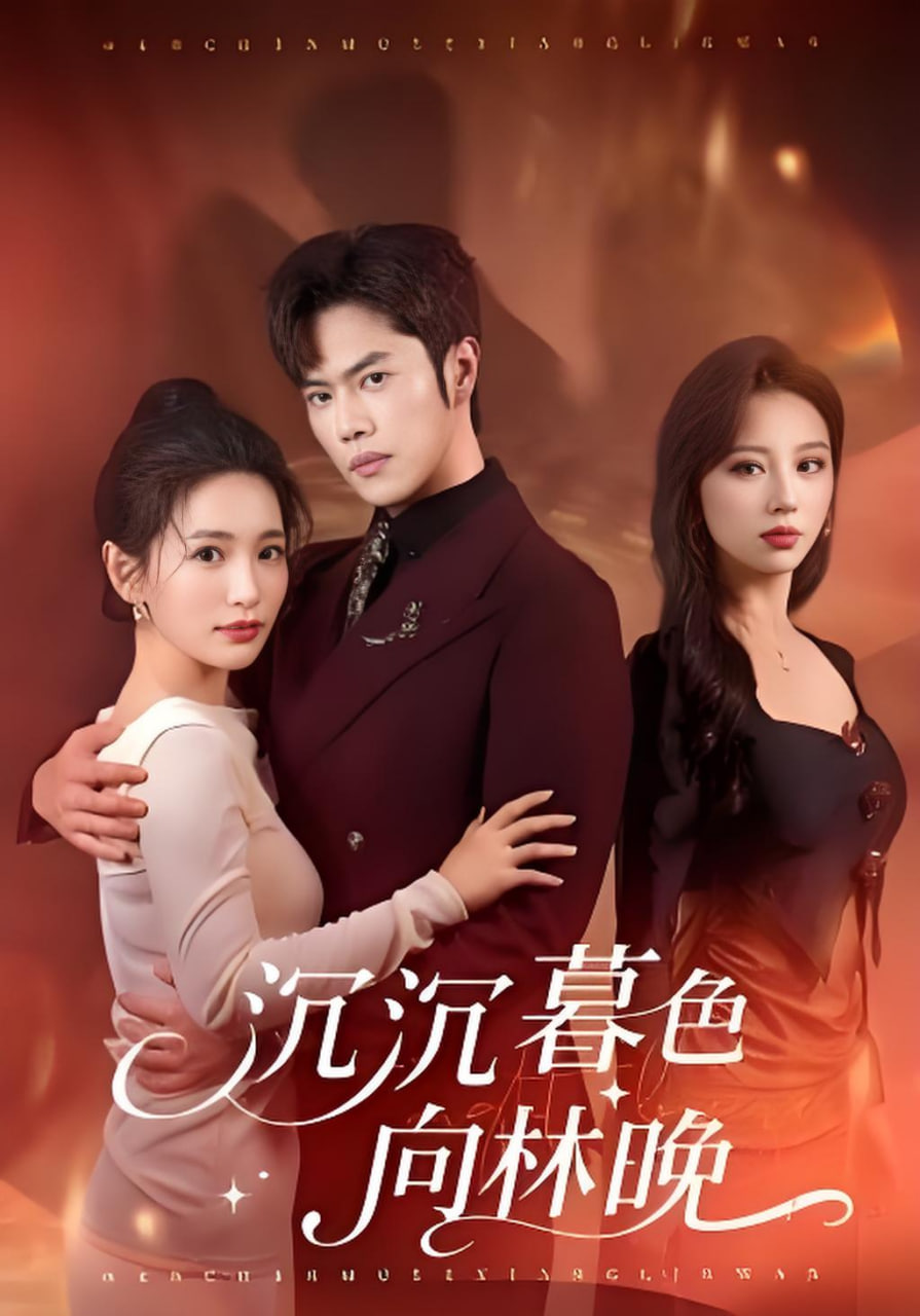 沉沉暮色向林晚