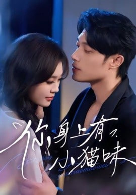 你身上有小猫味